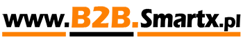 Logo b2b.smartx.pl